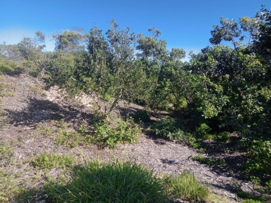 Commercial Property for Sale in Paradise Beach Eastern Cape